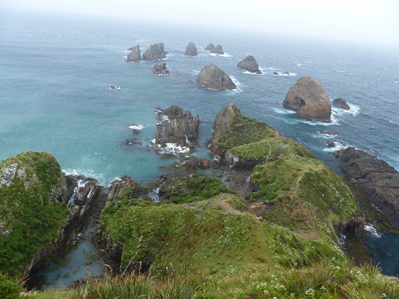 Rocky pinnacles off Nugget Point Dec 2015